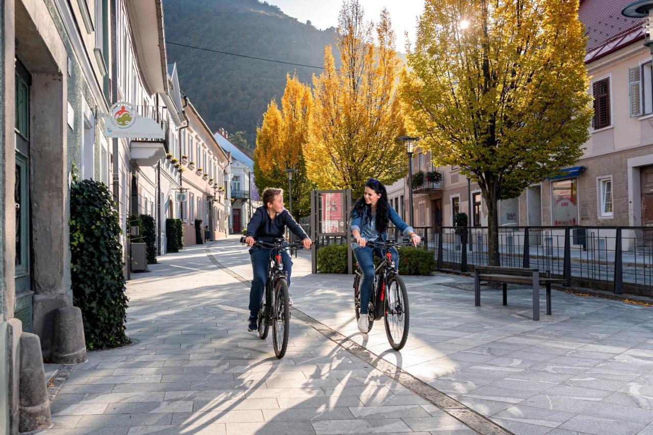 Dvorec Trebnik - Sobe Slovenske Konjice Exterior foto