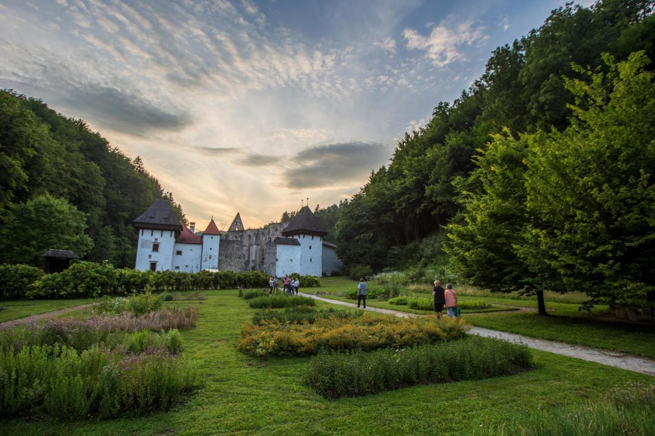 Dvorec Trebnik - Sobe Slovenske Konjice Exterior foto