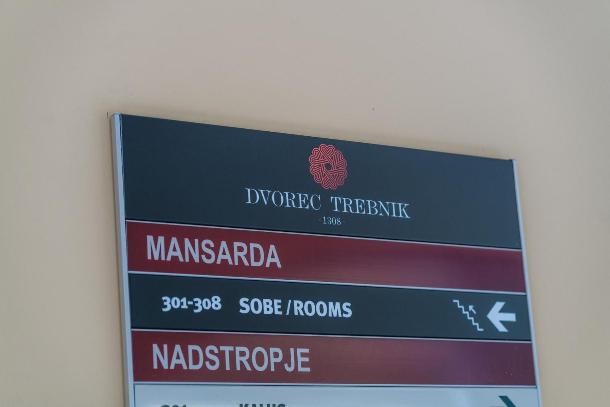 Dvorec Trebnik - Sobe Slovenske Konjice Exterior foto